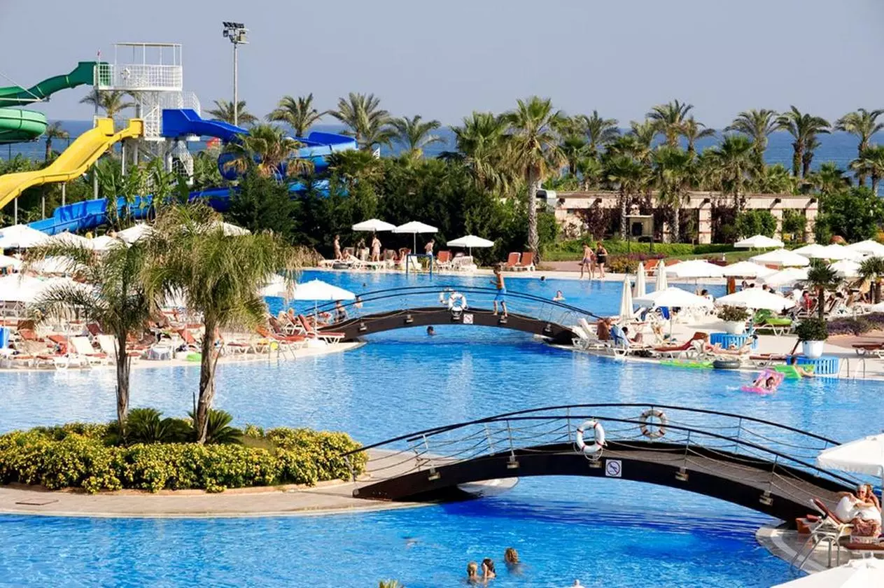 MIRACLE_SHABAVIZ (35).jpg